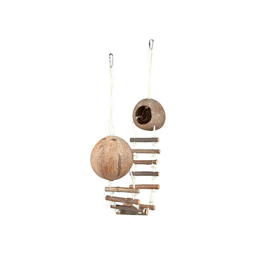 Kokosnöthus - Hamster dubbel | Endast 239 kr! - Zoogiganten