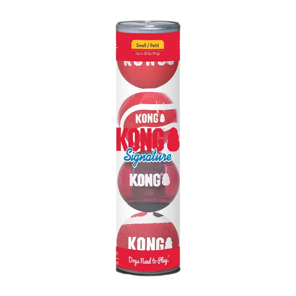 Kong Signature Balls 4-pakning Small Mix - 5,7 CM