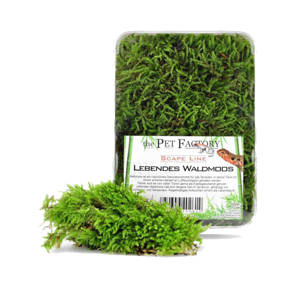 Levande Mossa - 1 L | Endast 99 kr! - Zoogiganten