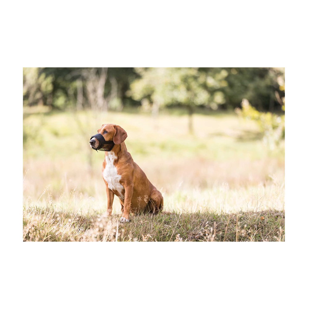 Nylonmunne med netting