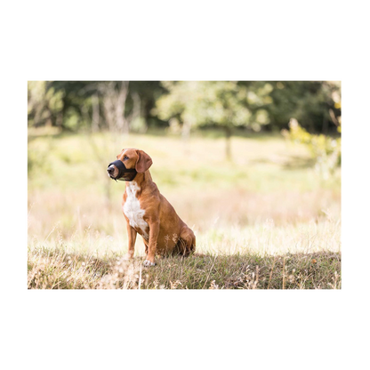 Nylonmunne med netting