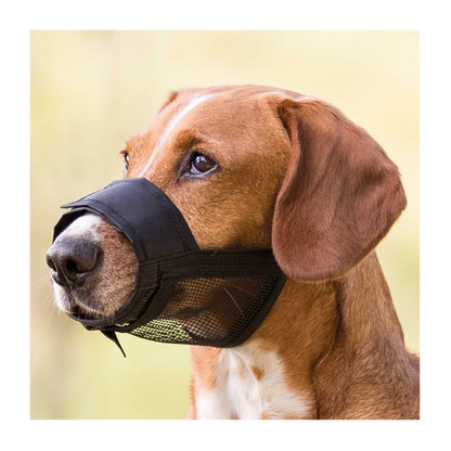 Nylonmunne med netting