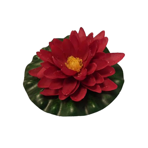 Näckros Röd - 15 CM | Endast 89 kr! - Zoogiganten