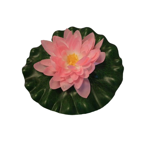 Näckros Rosa - 20 CM | Endast 99 kr! - Zoogiganten