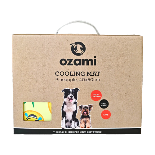 Ozami Kylplatta Pineapple - 40X50 CM | Endast 129 kr! - Zoogiganten
