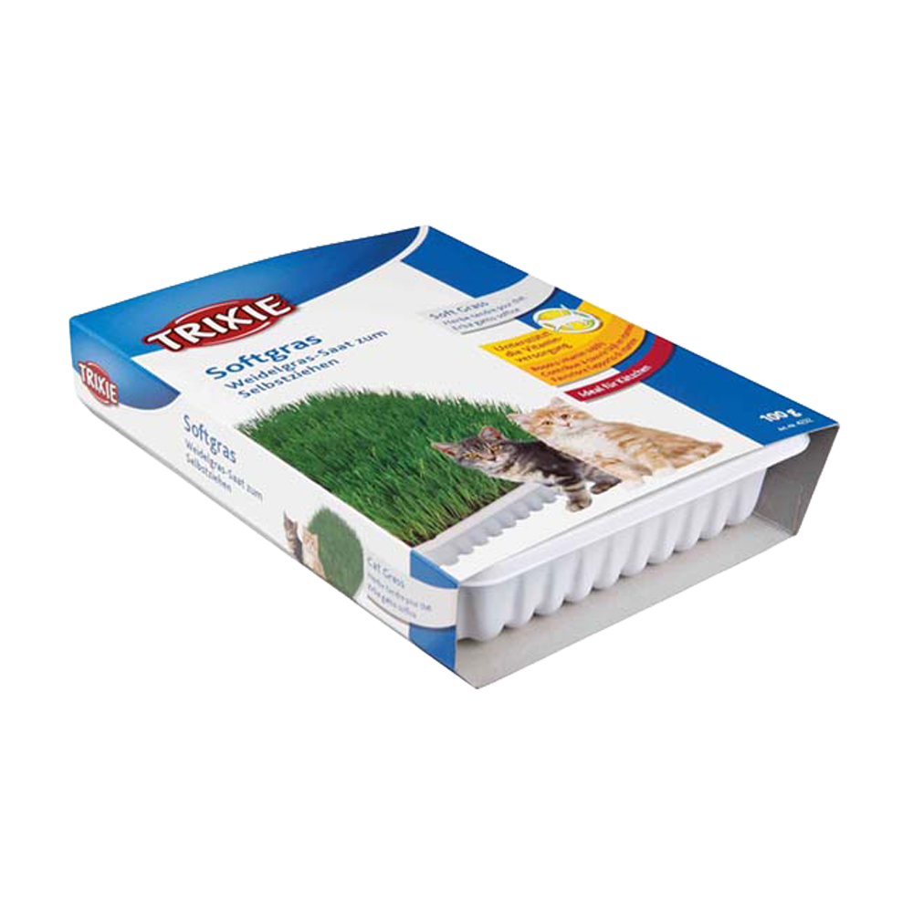 Kattemynte myk vitamin beriket med dyrkingsboks ca. 100 g
