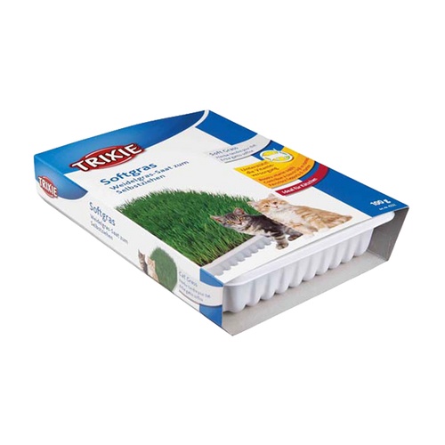 Kattemynte myk vitamin beriket med dyrkingsboks ca. 100 g