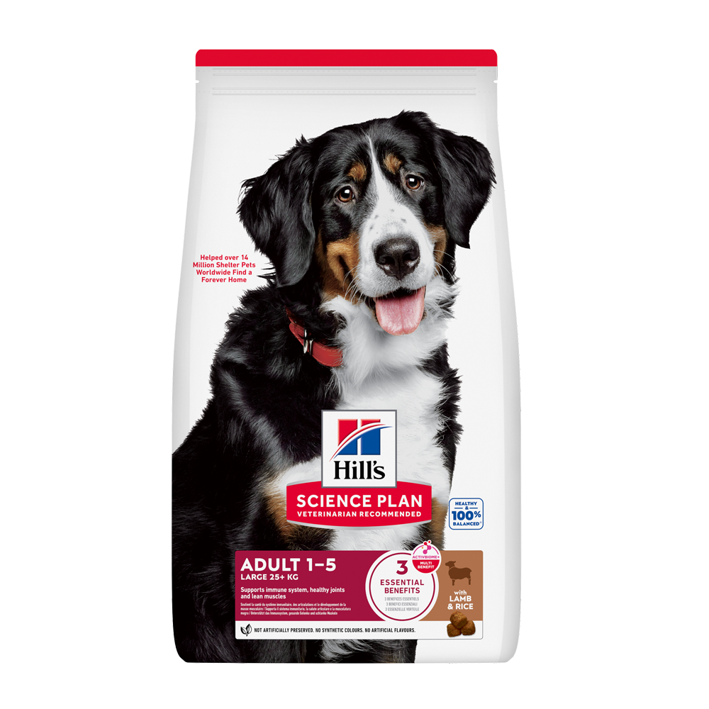 Science Plan Canine Adult Large Breed Lam &amp; Ris - 12 kg