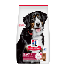 Science Plan Canine Adult Large Breed Lam &amp; Ris - 12 kg