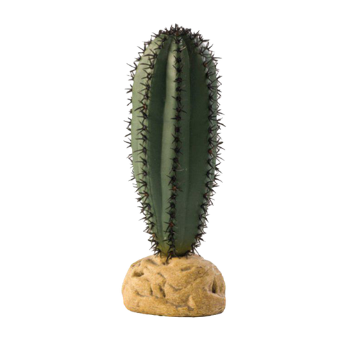 Stavkaktus Ökenväxt - 6.6X16 CM | Endast 119 kr! - Zoogiganten