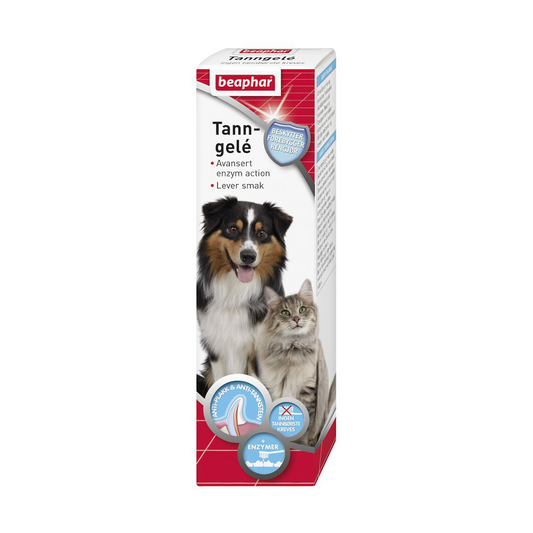 Tanngel med enzymer for hund og katt