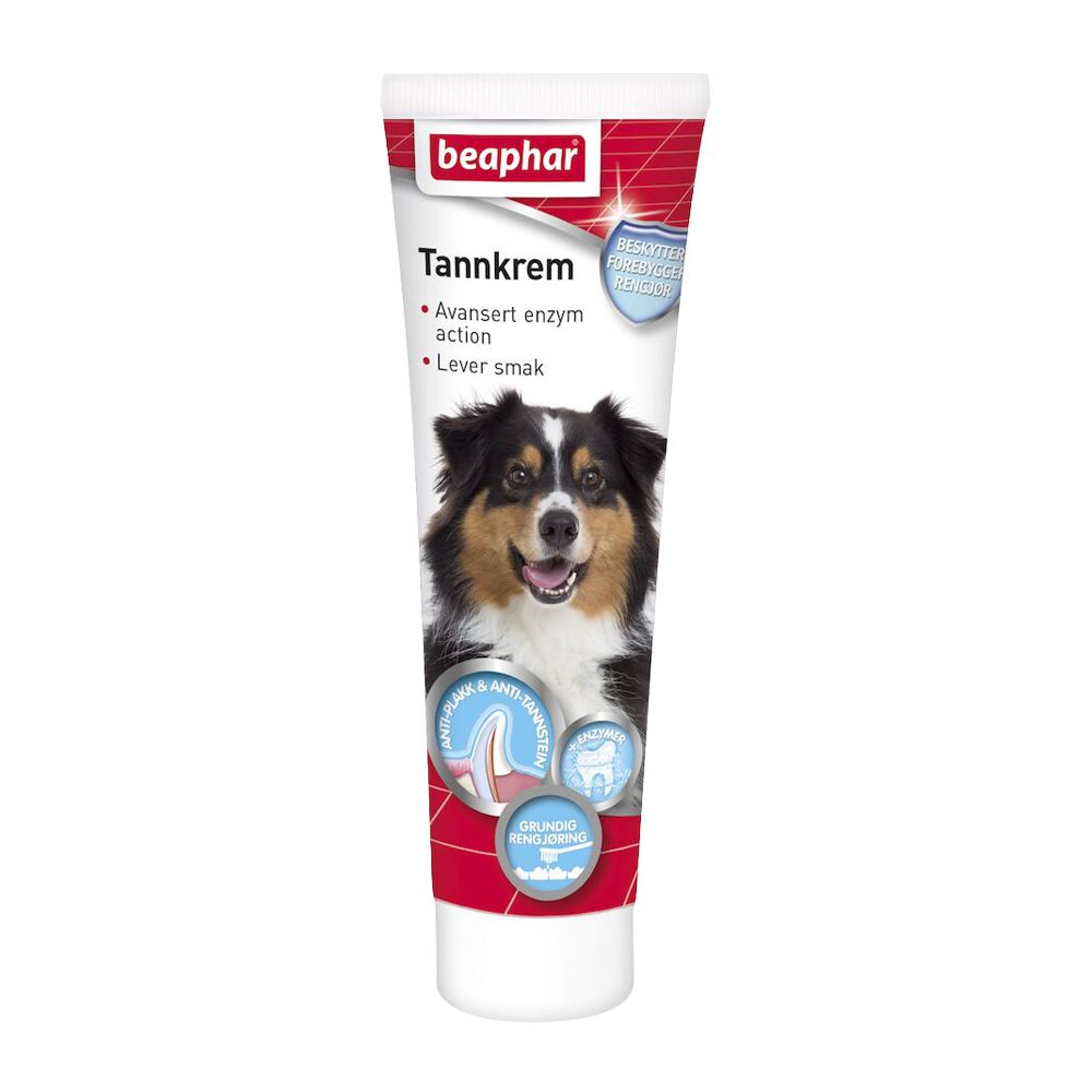 Tannkrem med enzymer hund og katt