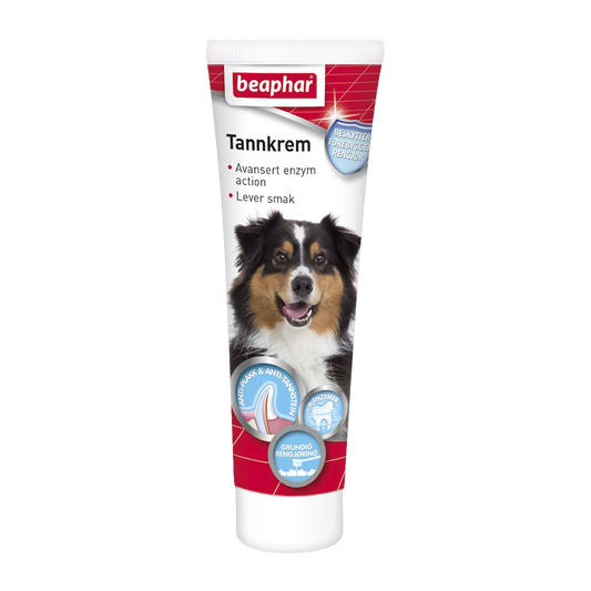 Tannkrem med enzymer hund og katt