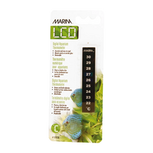 Termometer LCD-blisterskala 22–30