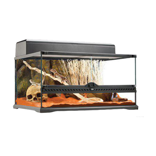 Terrarium Exoterra M Low - 60X40X30 CM | Endast 2499 kr! - Zoogiganten
