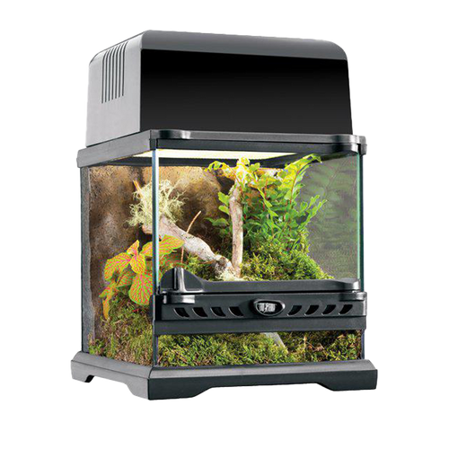 Terrarium Exoterra Nano Wide - 20X20X20 CM | Endast 699 kr! - Zoogiganten