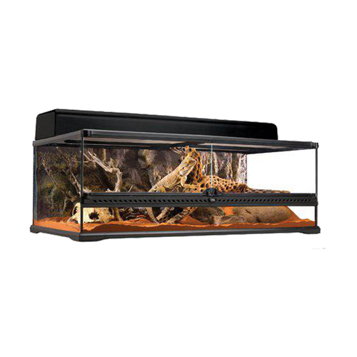 Terrarium Exoterra L Low - 90X45X30 CM | Endast 3979 kr! - Zoogiganten