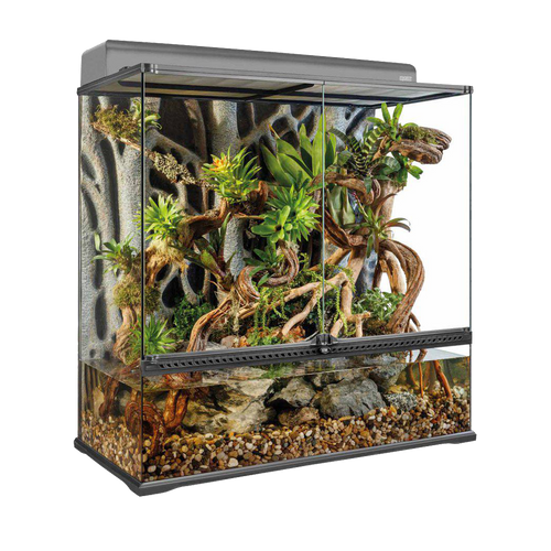 Terrarium Exoterra L X-Tall - 90X45X90 CM | Endast 6499 kr! - Zoogiganten