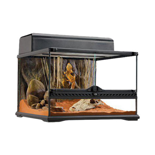 Terrarium Exoterra S Low - 45X45X30 CM | Endast 1999 kr! - Zoogiganten