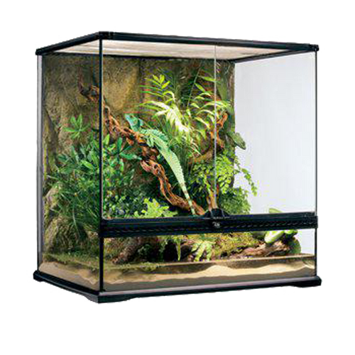 Terrarium Exoterra M Tall - 60X45X60 CM | Endast 3449 kr! - Zoogiganten