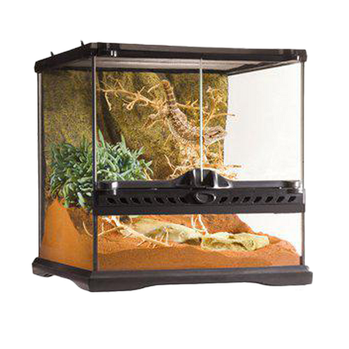 Terrarium Exoterra Mini Wide - 30X30X30 CM | Endast 1119 kr! - Zoogiganten