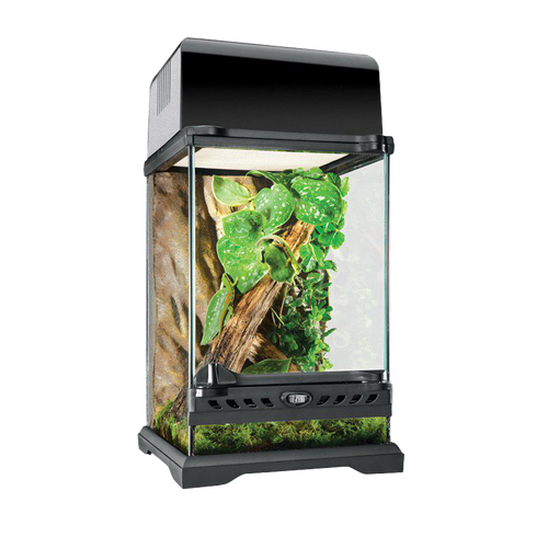 Terrarium Exoterra Nano Tall - 20X20X30 CM | Endast 799 kr! - Zoogiganten