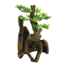 Träd Akvarium - 7X6.5X11.2 CM | Endast 99 kr! - Zoogiganten