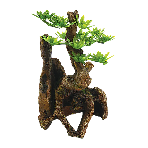 Träd Akvarium - 7X6.5X11.2 CM | Endast 99 kr! - Zoogiganten