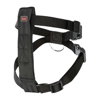 Bilsele XSmall - 20-50 CM | Endast 119 kr! - Zoogiganten